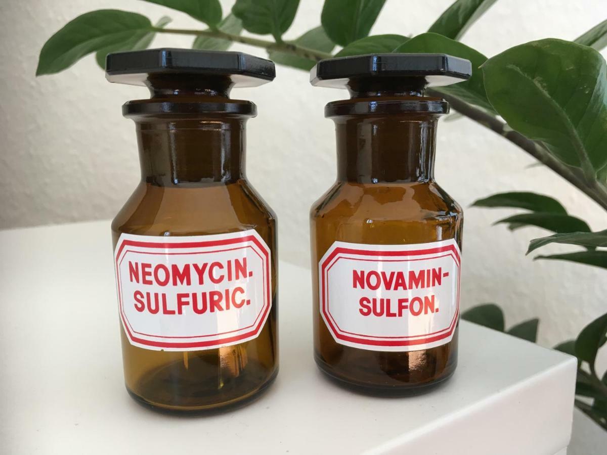 Apothekerwohnung Фризойте Экстерьер фото